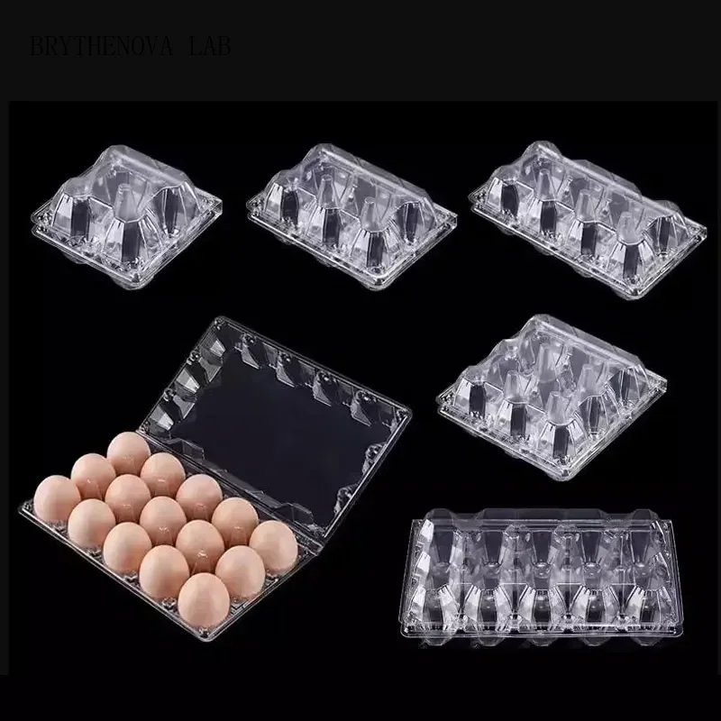 20 Buah Kotak Telur Plastik Se - Event Party Box ulasan dan harga