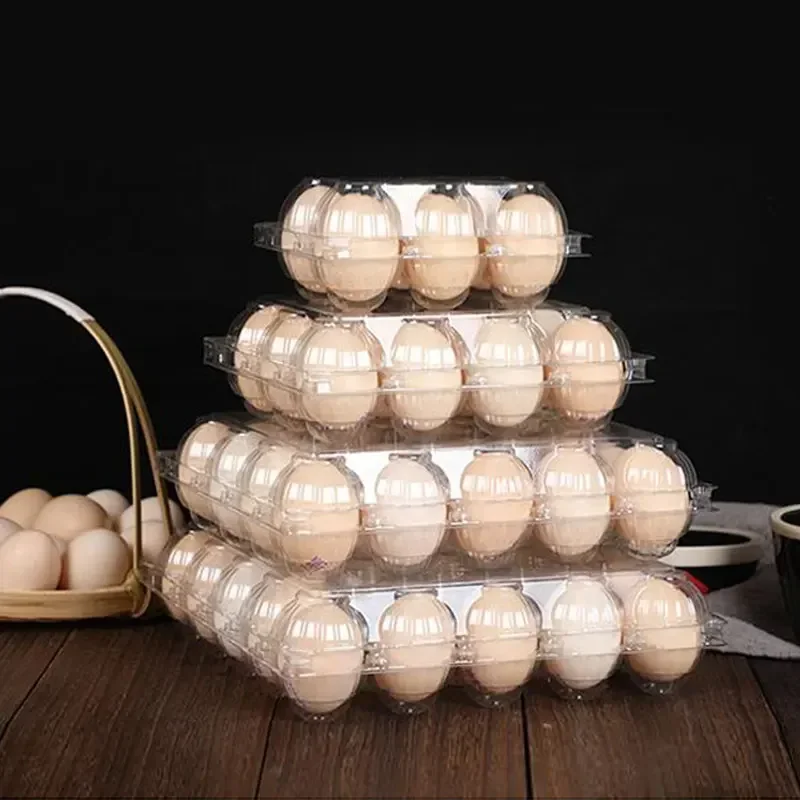 20 Buah Kotak Telur Plastik Se - Event Party Box ulasan dan harga